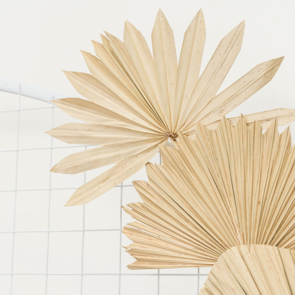 Round Mesh Arch - White