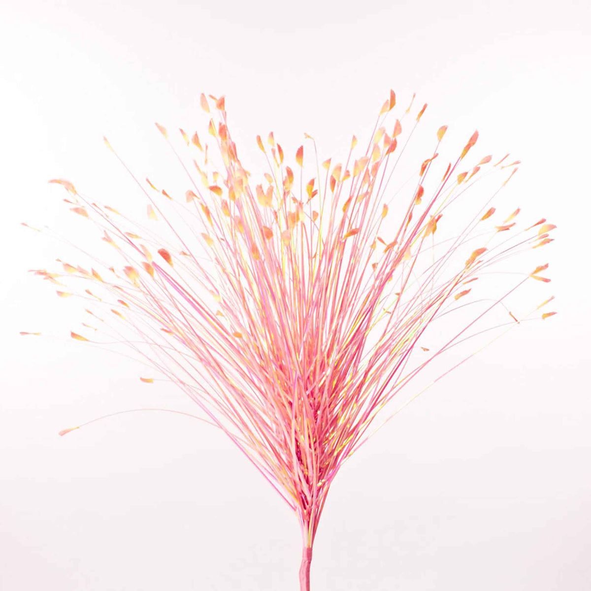 Metallic Onion Grass Spray Pick - Pink