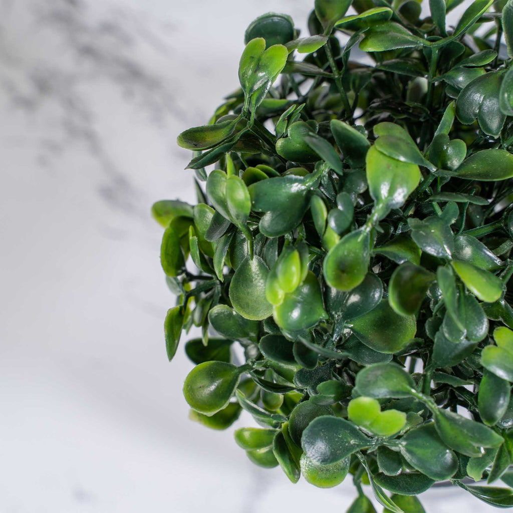 Boxwood Topiary Ball