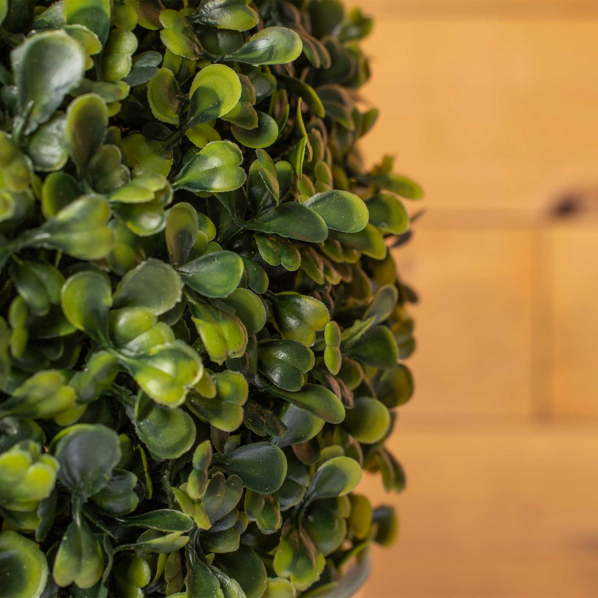 Boxwood Topiary Ball