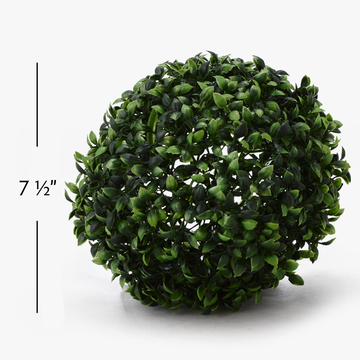 Boxwood Topiary Ball