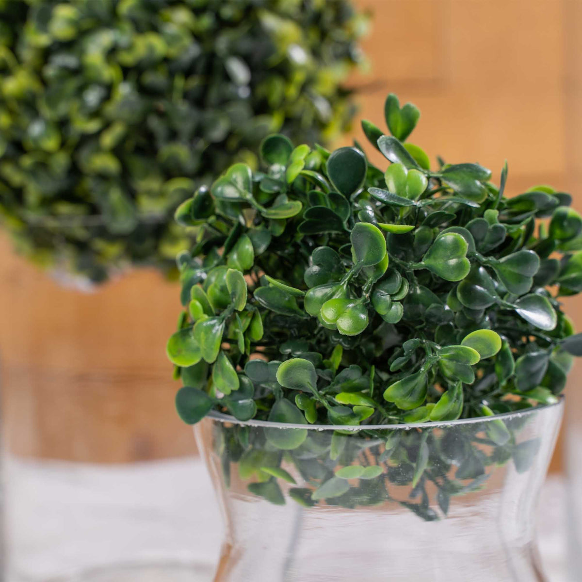 Boxwood Topiary Ball