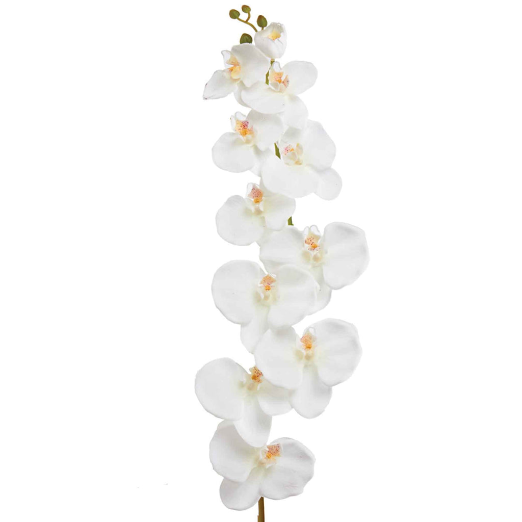 Faux Phalaenopsis Orchid 50"