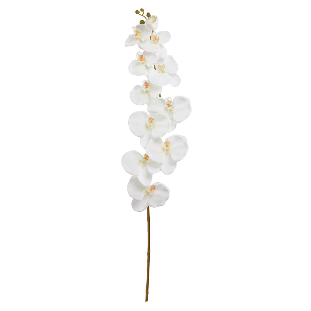 Faux Phalaenopsis Orchid 50"