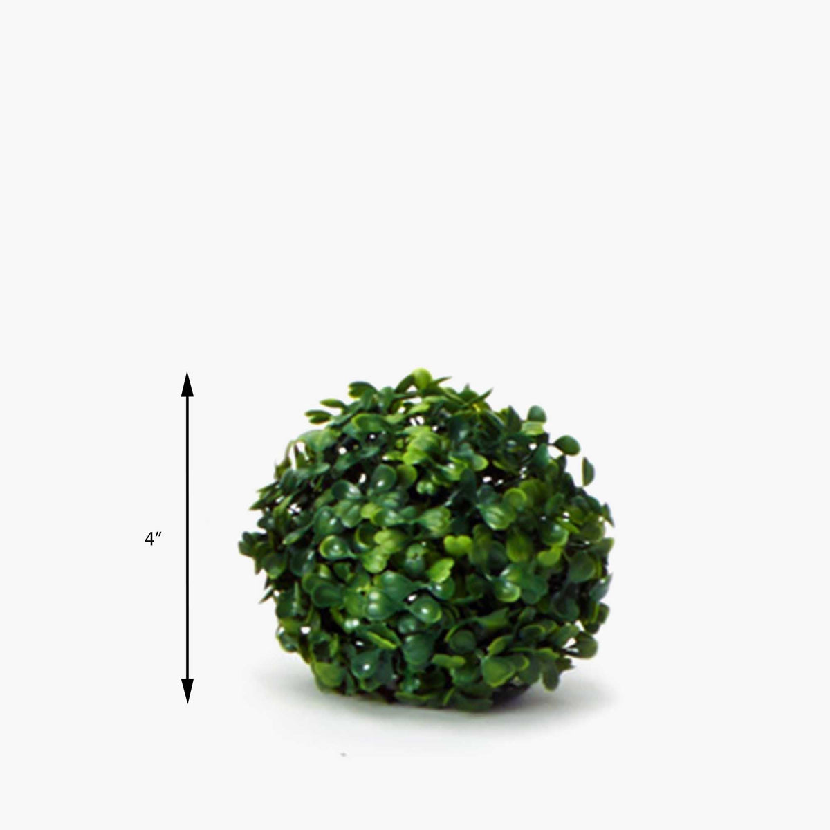 Boxwood Topiary Ball - 4 Inches