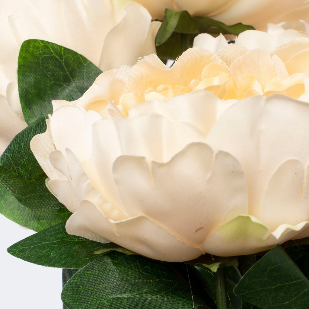 Faux Cabbage Rose Bundle - Champagne