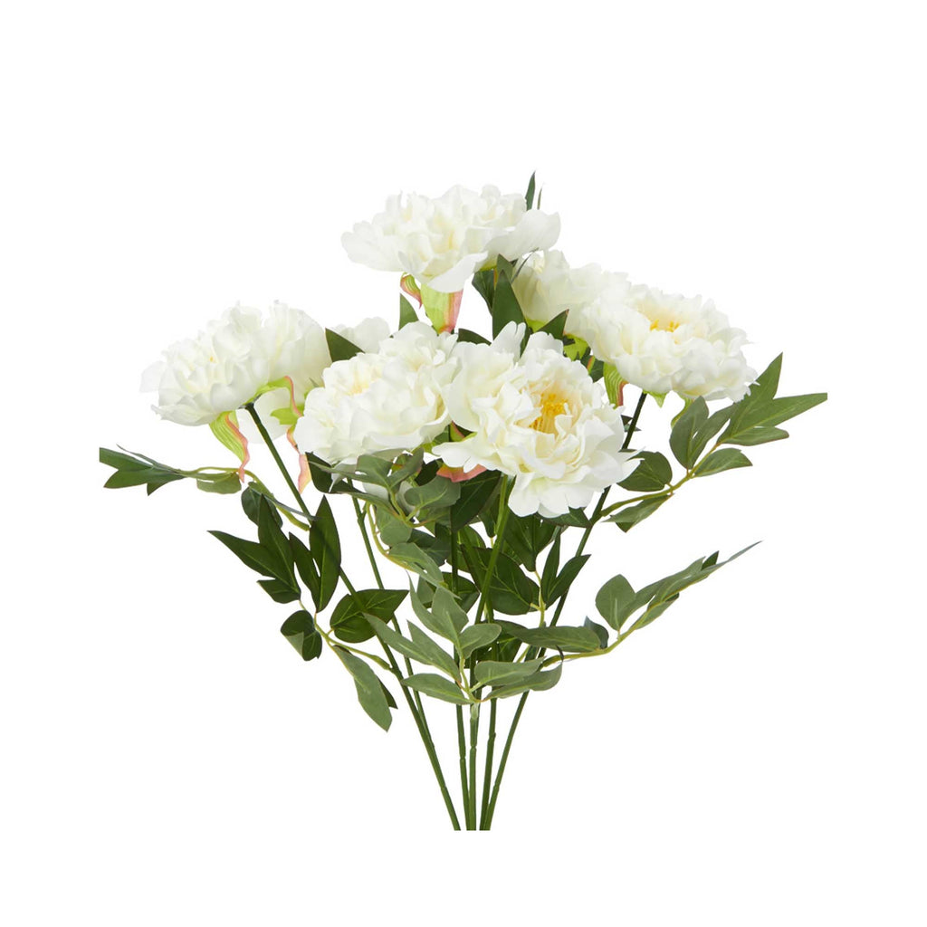 Deluxe Peony Bundle - Cream