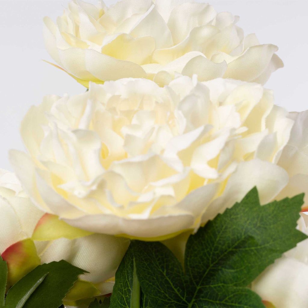 Deluxe Peony Bundle - Cream