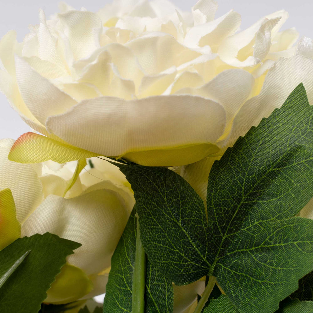 Deluxe Peony Bundle - Cream