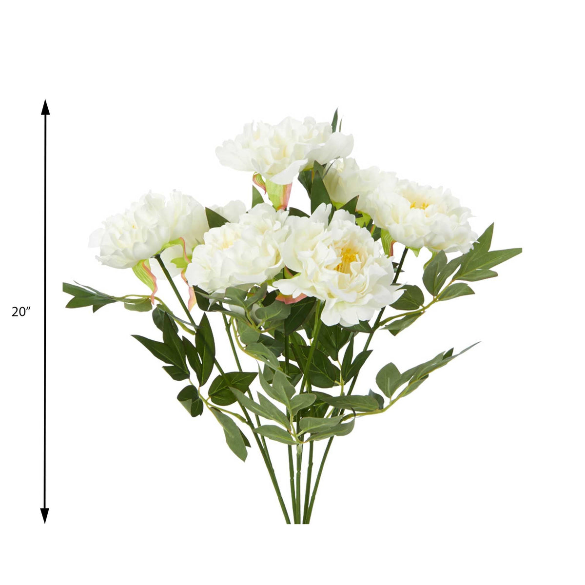 Deluxe Peony Bundle - Cream