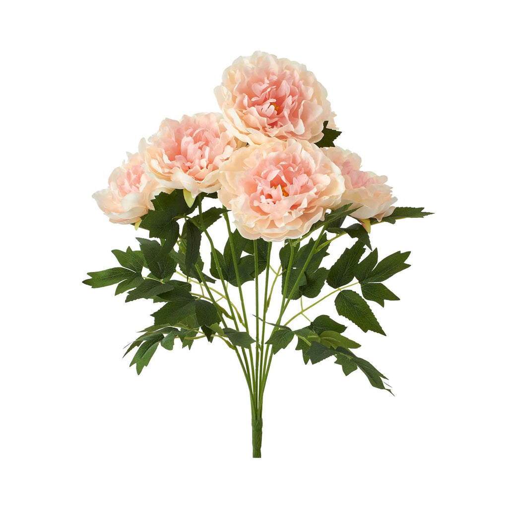 Deluxe Peony Bundle-Blush