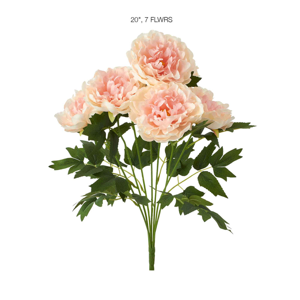 Deluxe Peony Bundle-Blush