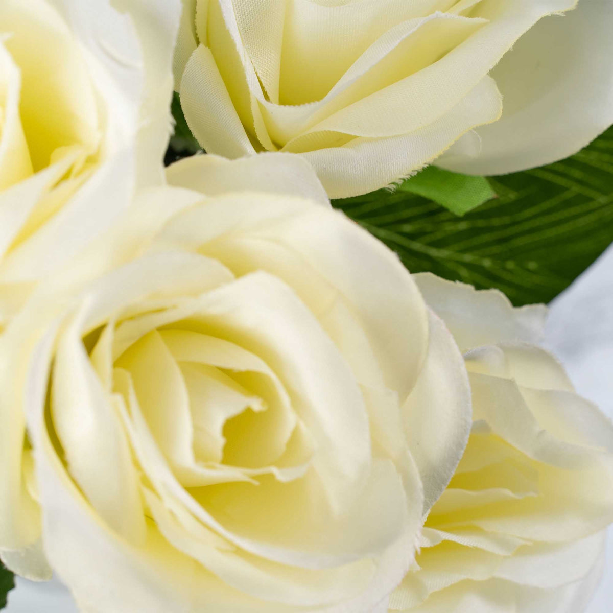 Deluxe Rose Bundle Cream