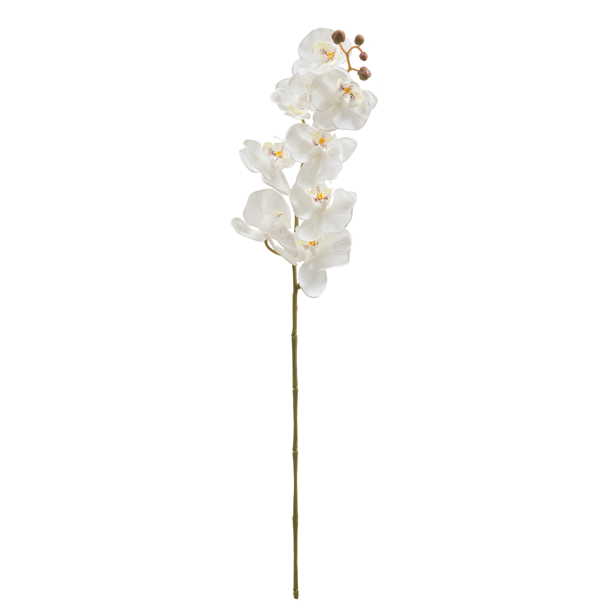 Artificial Orchid Stem 30.75"