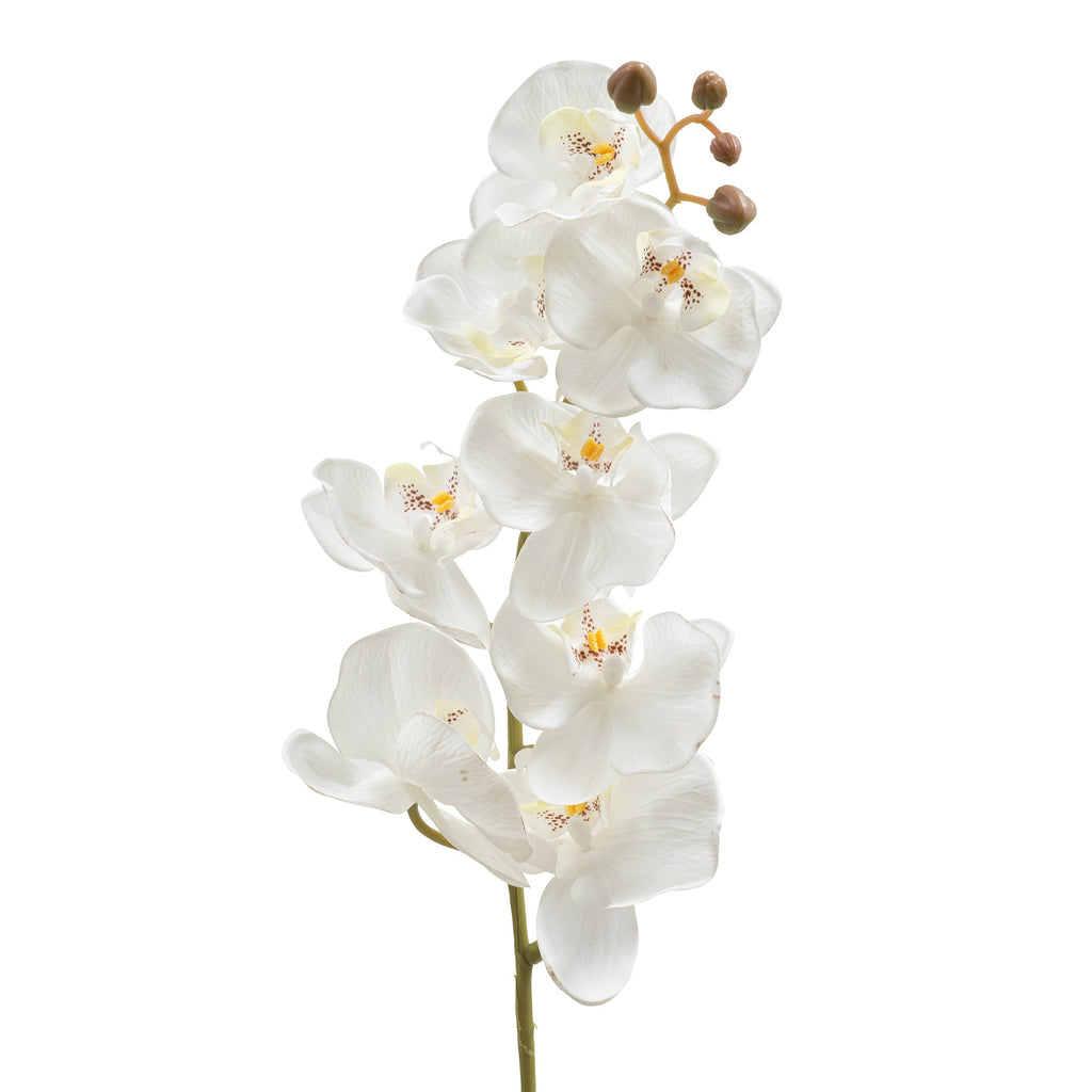 Artificial Orchid Stem 30.75"