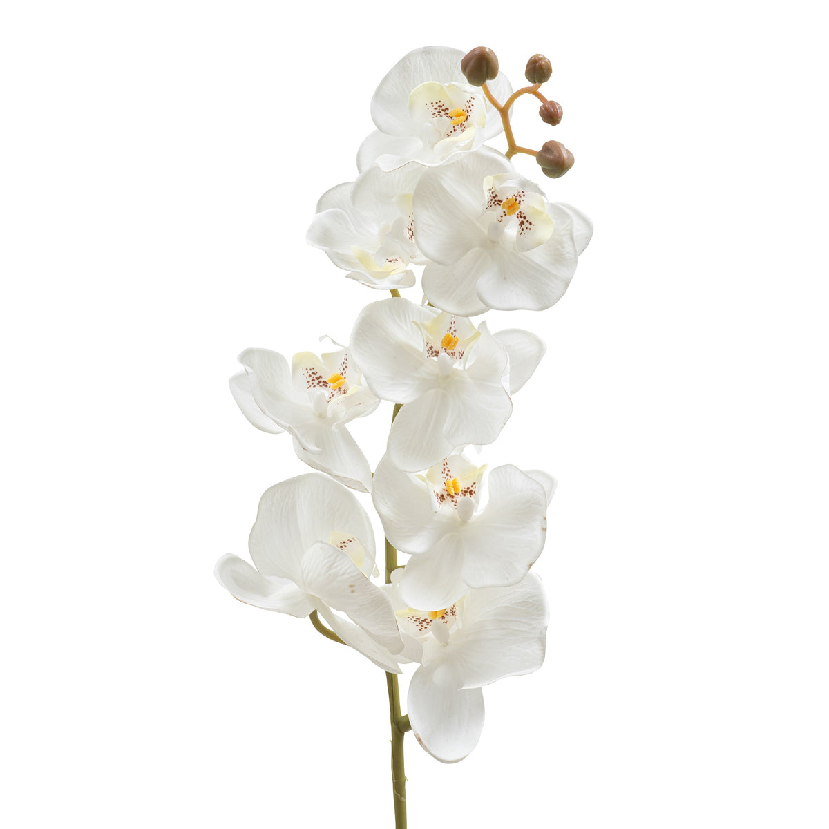 Artificial Orchid Stem 30.75"