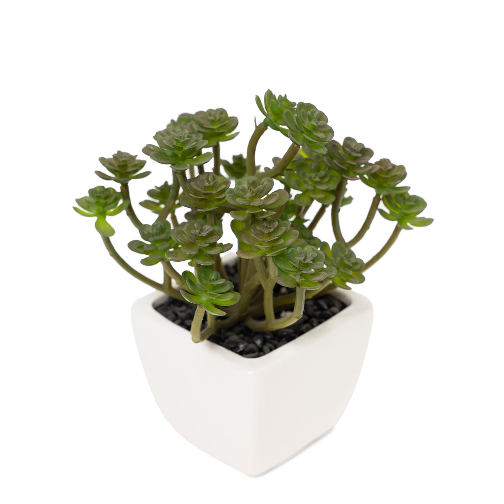 Potted Decorative Faux Succulents Set of Six