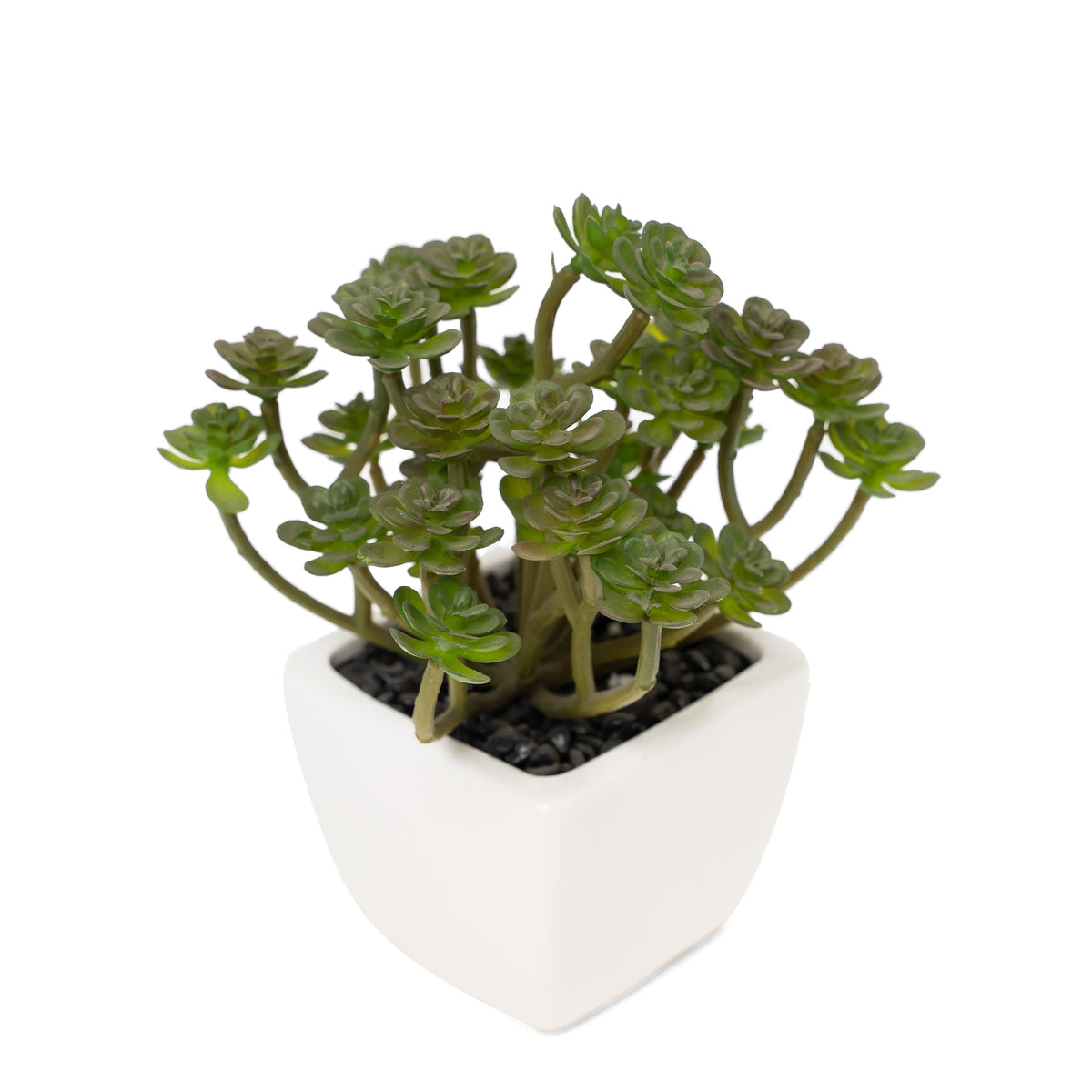 Potted Decorative Faux Succulents Set of Six