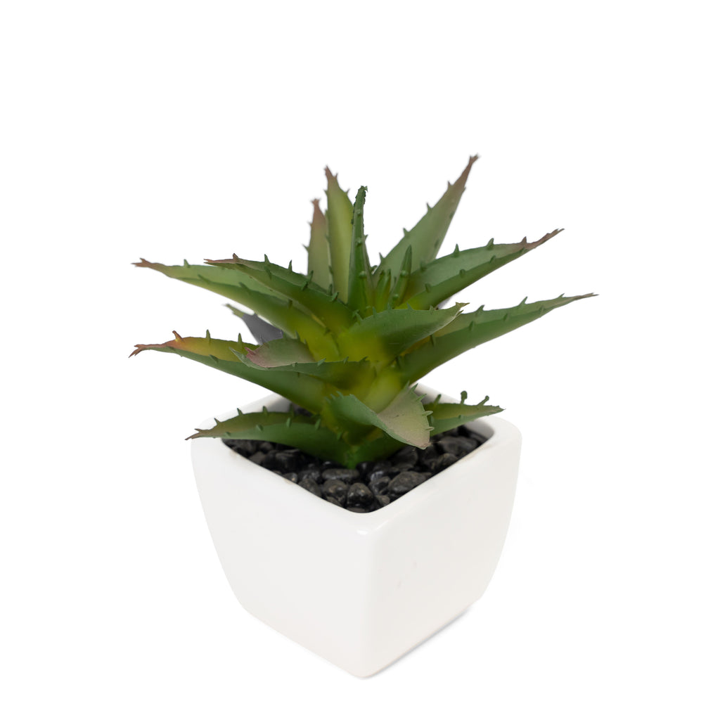 Potted Decorative Faux Succulents Set of Six