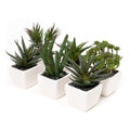 Potted Decorative Faux Succulents Set of Six