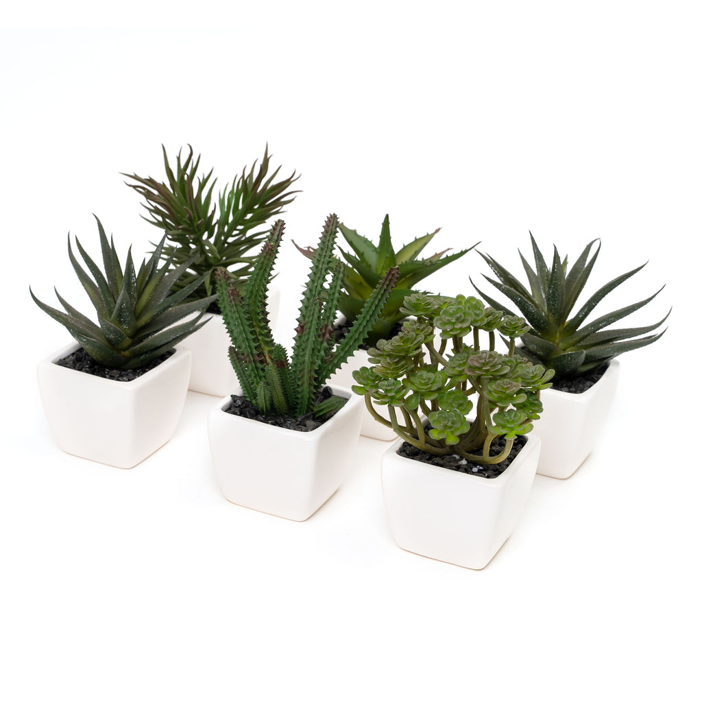 Potted Decorative Faux Succulents Set of Six