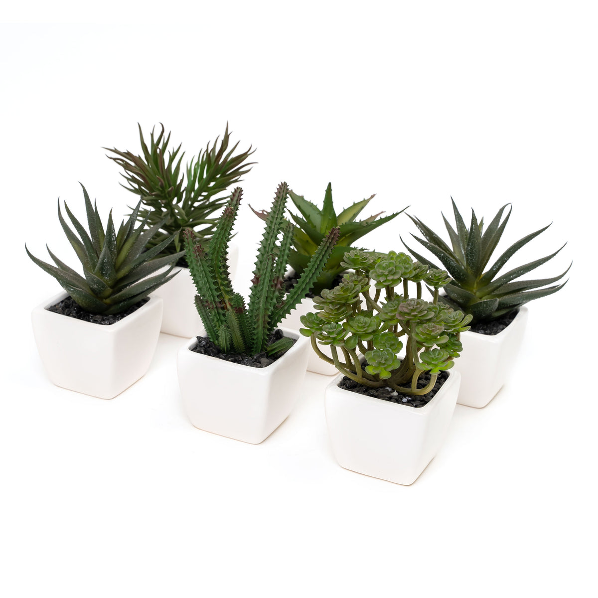 Potted Decorative Faux Succulents Set of Six