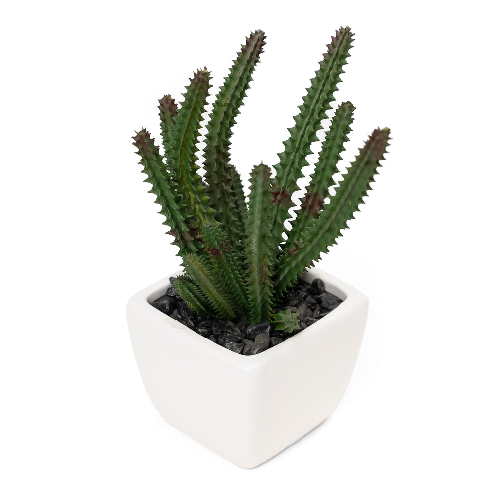 Potted Decorative Faux Succulents Set of Six
