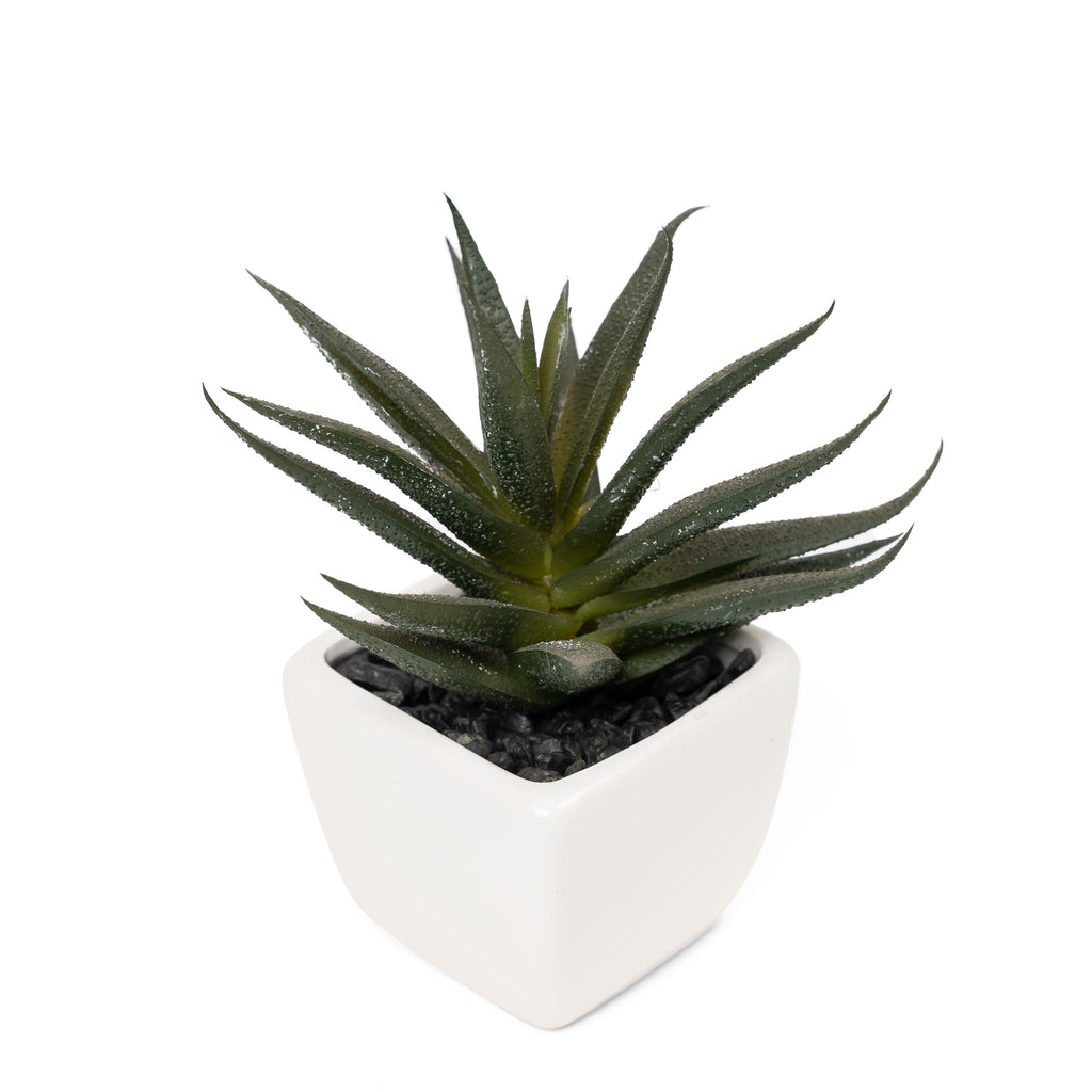 Potted Decorative Faux Succulents Set of Six