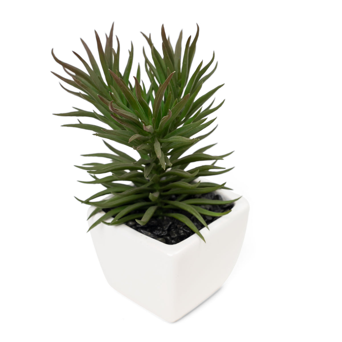 Potted Decorative Faux Succulents Set of Six