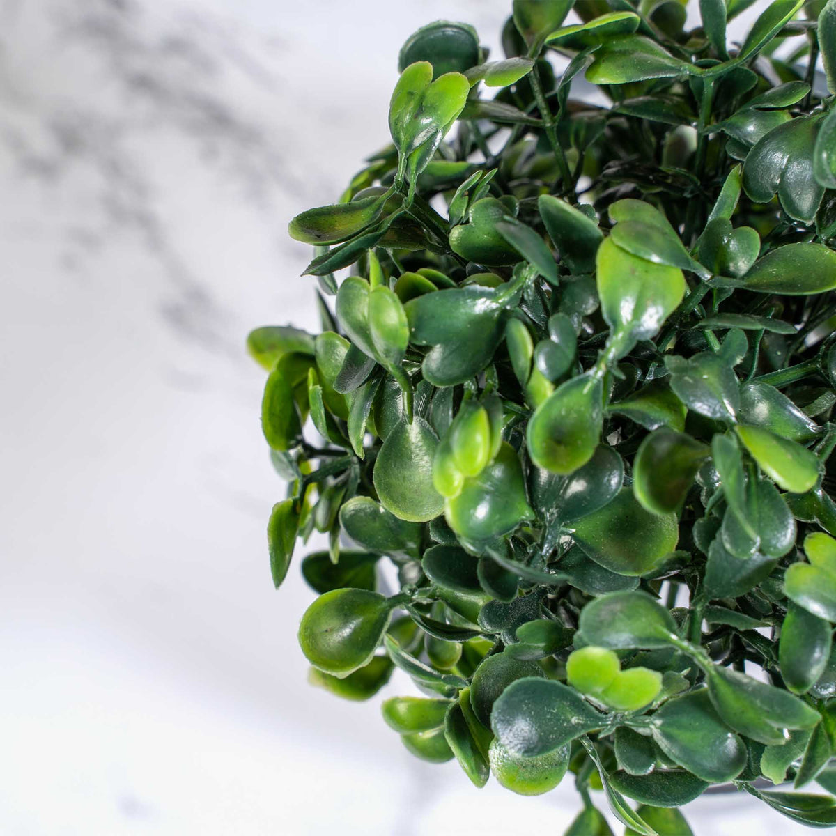 6 Inch Boxwood Topiary Ball