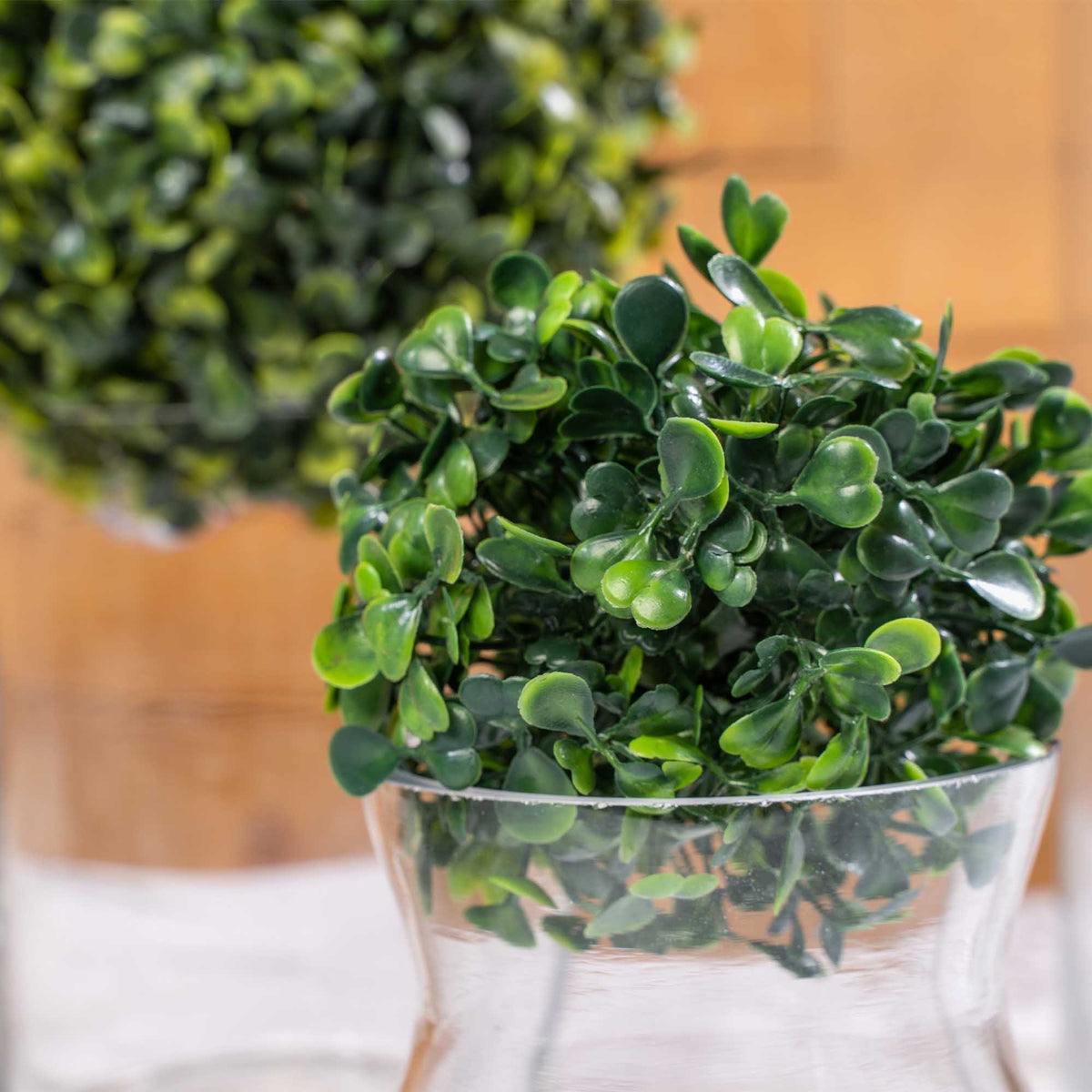 6 Inch Boxwood Topiary Ball