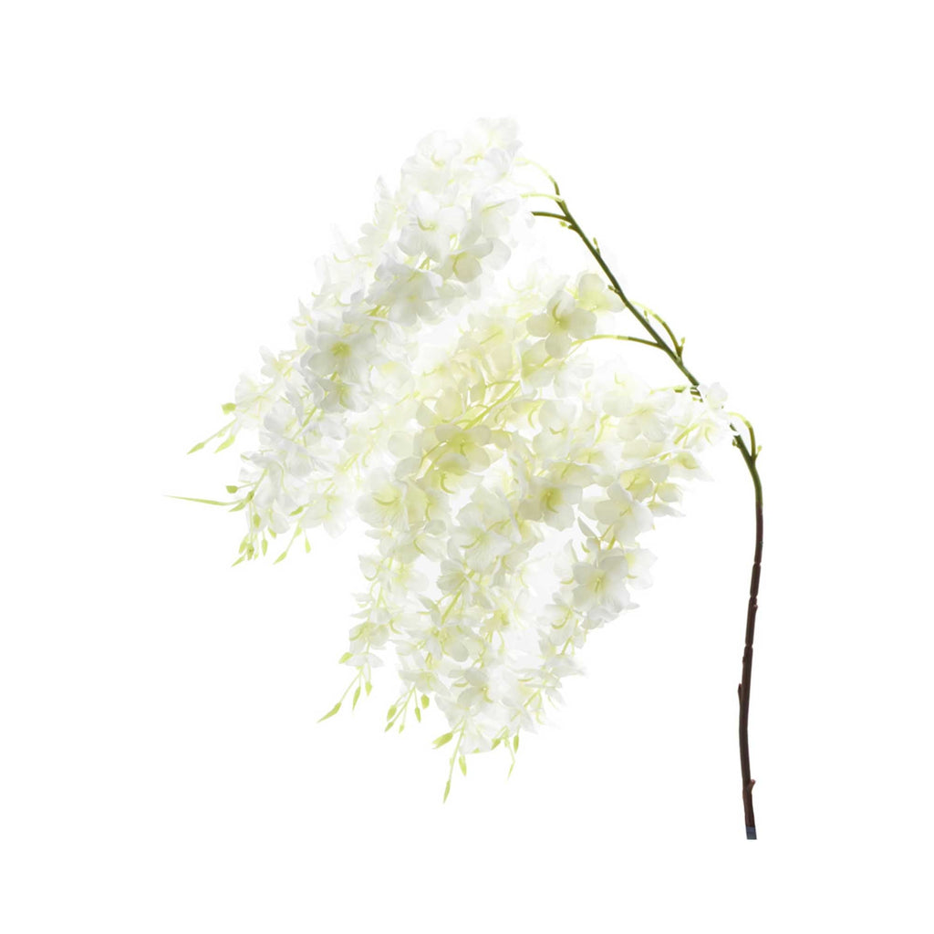 Large Wisteria Branch