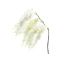 Large Wisteria Branch