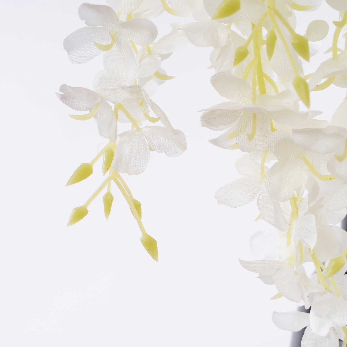 Large Wisteria Branch