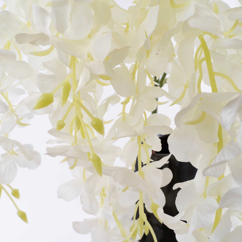 Large Wisteria Branch