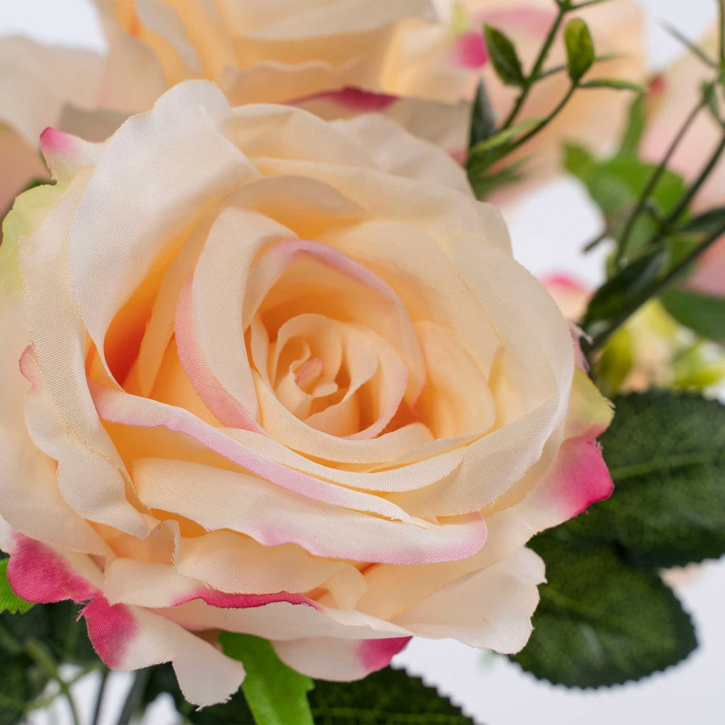 Economy Rose Bouquet Blush