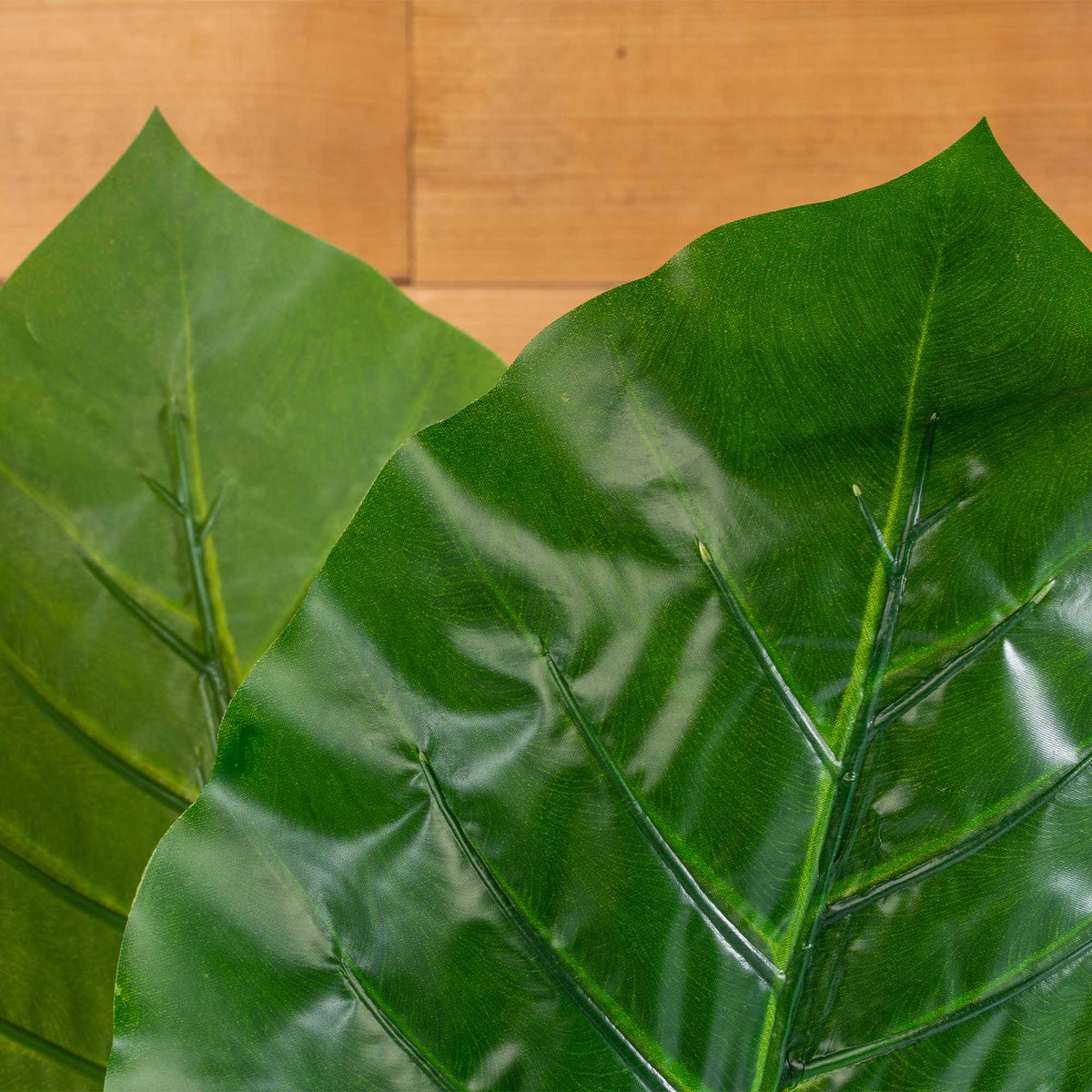Faux Philodendron Gigantum Pick-Dark Green