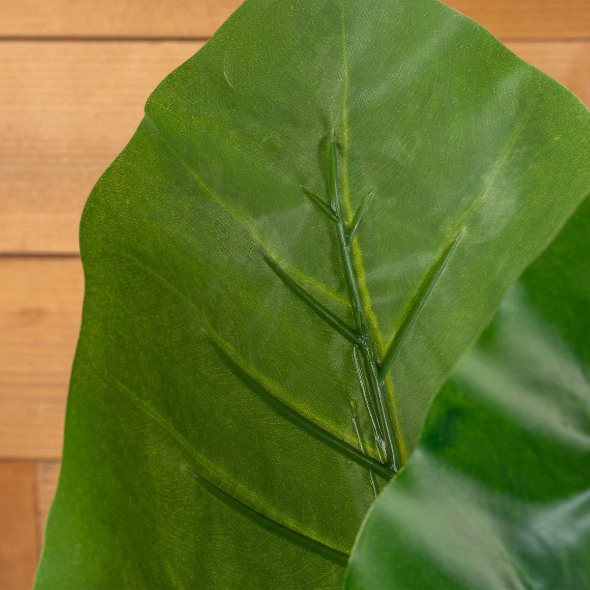 Faux Philodendron Gigantum Pick-Dark Green
