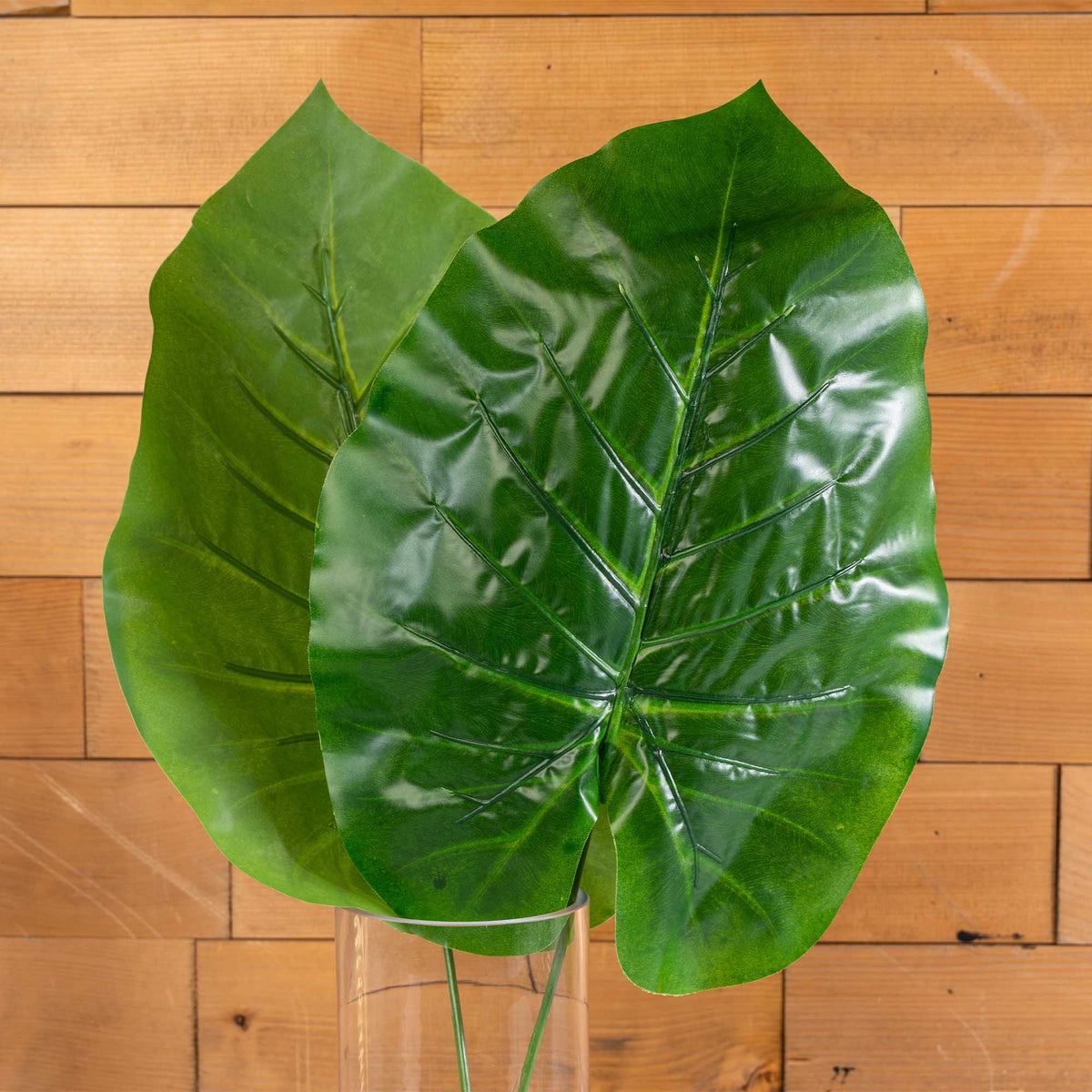 Faux Philodendron Gigantum Pick-Dark Green