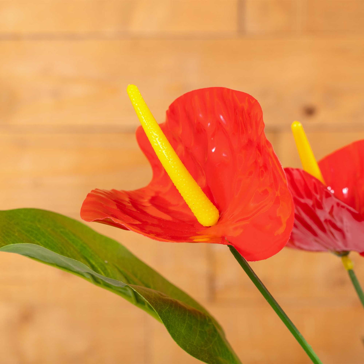Artificial Anthurium Spray