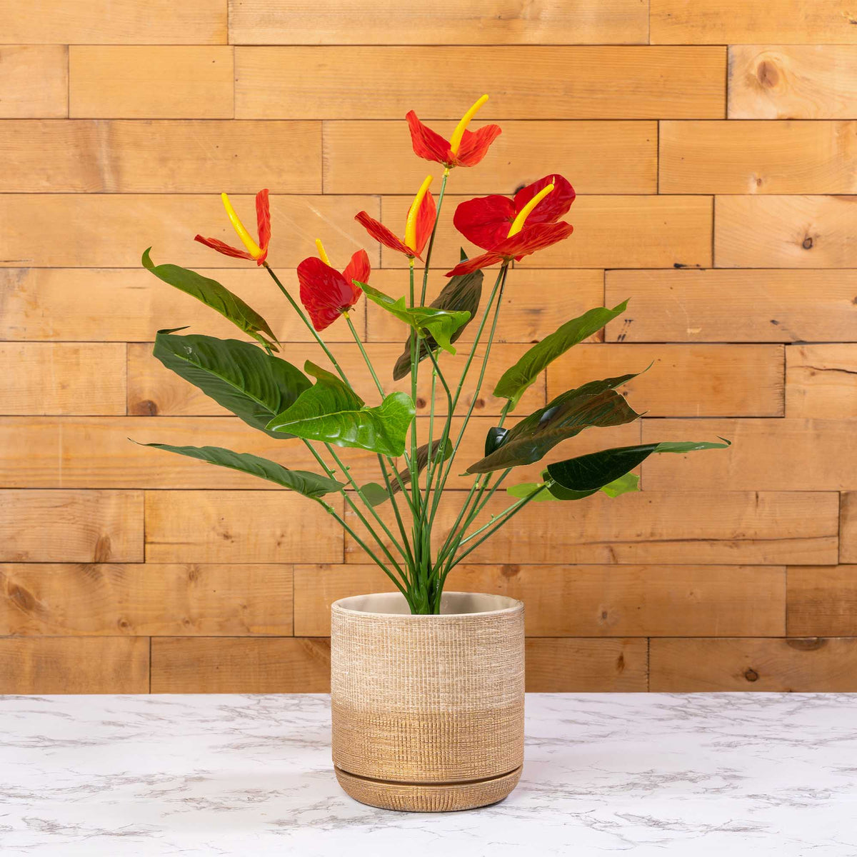 Artificial Anthurium Spray