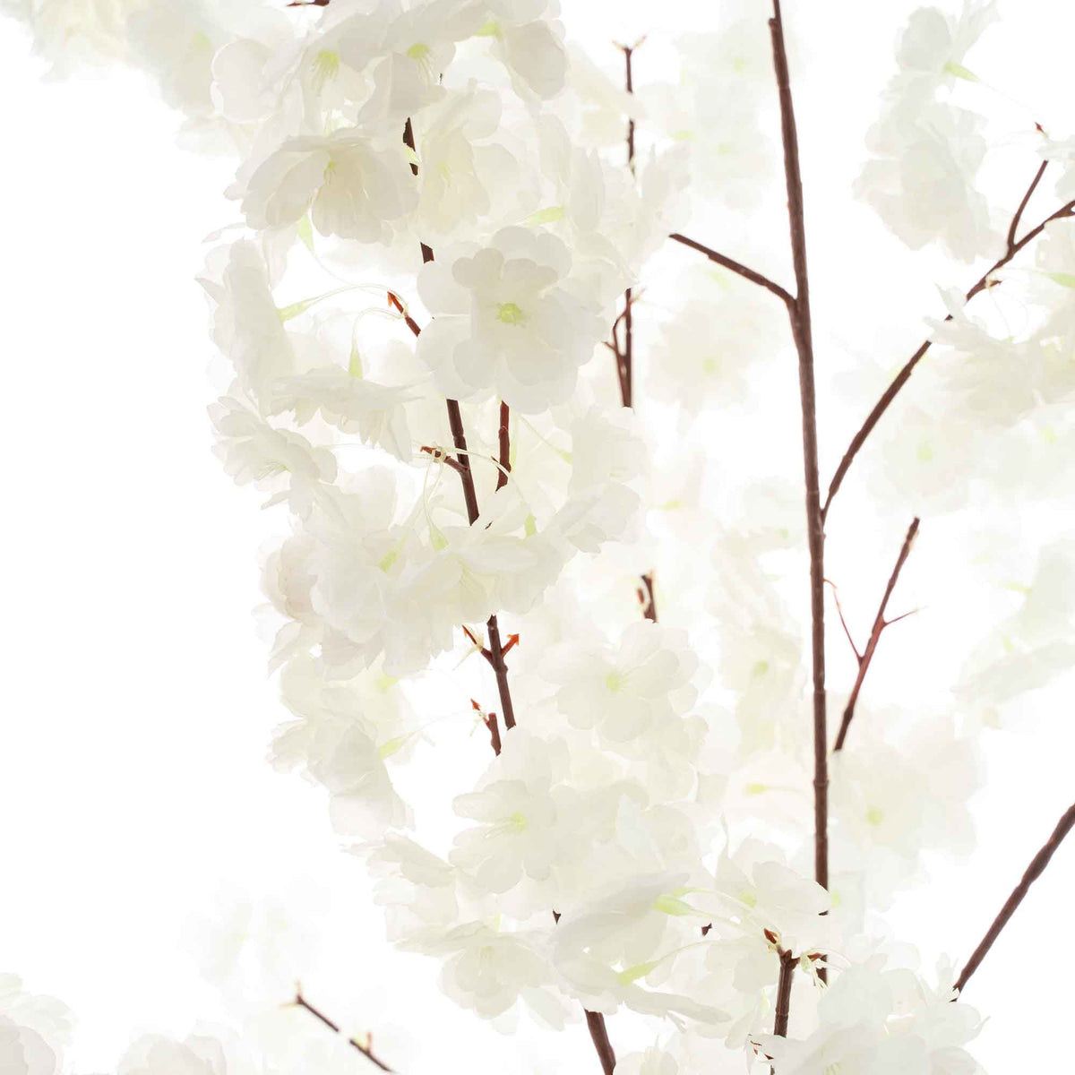 Artificial Flowering Cherry Blossom Tree 69" - White