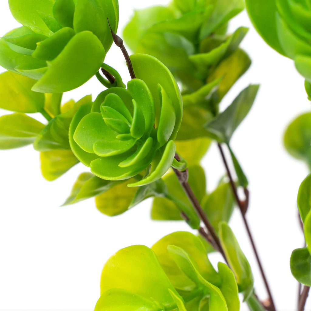 Faux Portulaca Molokiniensis Plant