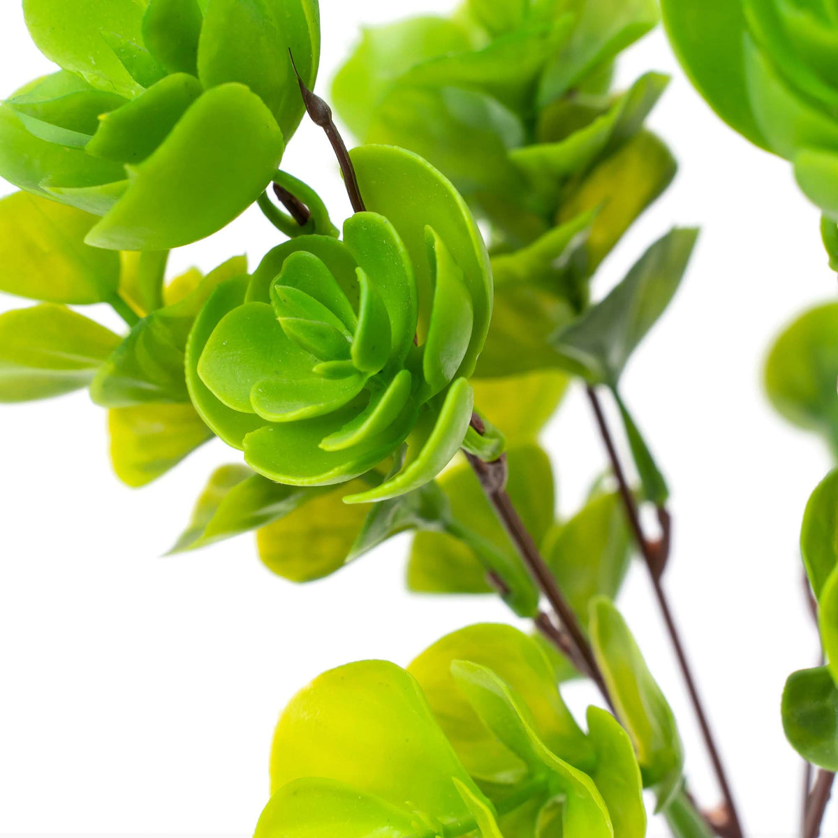 Faux Portulaca Molokiniensis Plant