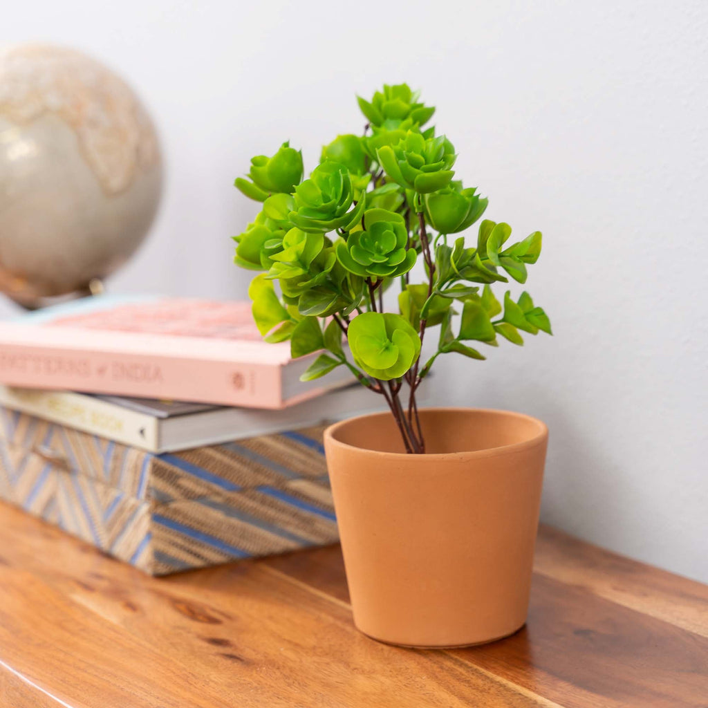 Faux Portulaca Molokiniensis Plant