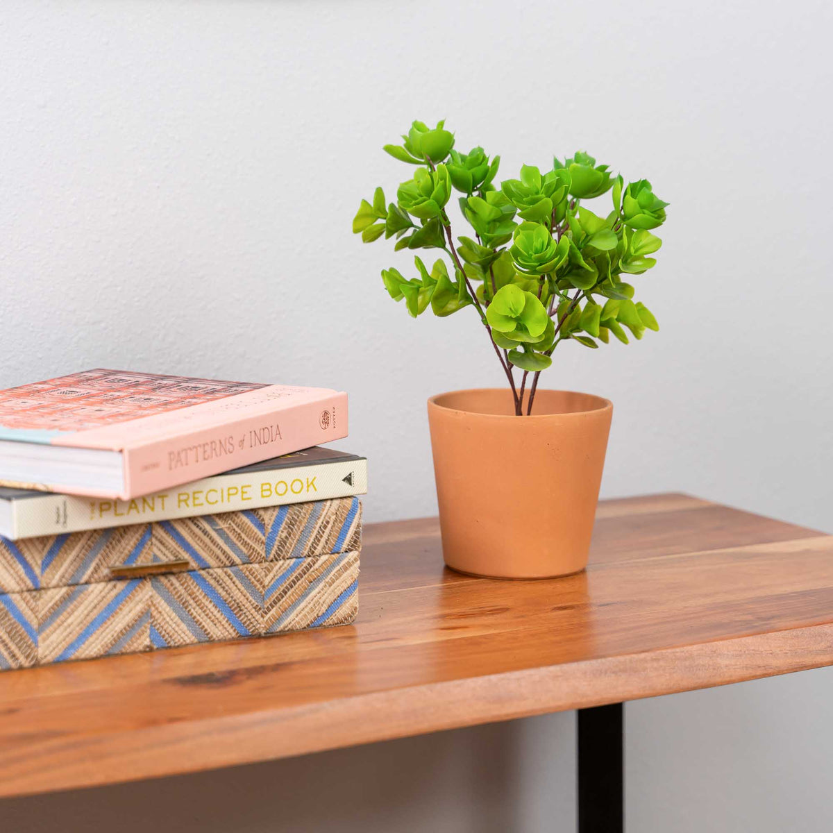 Faux Portulaca Molokiniensis Plant