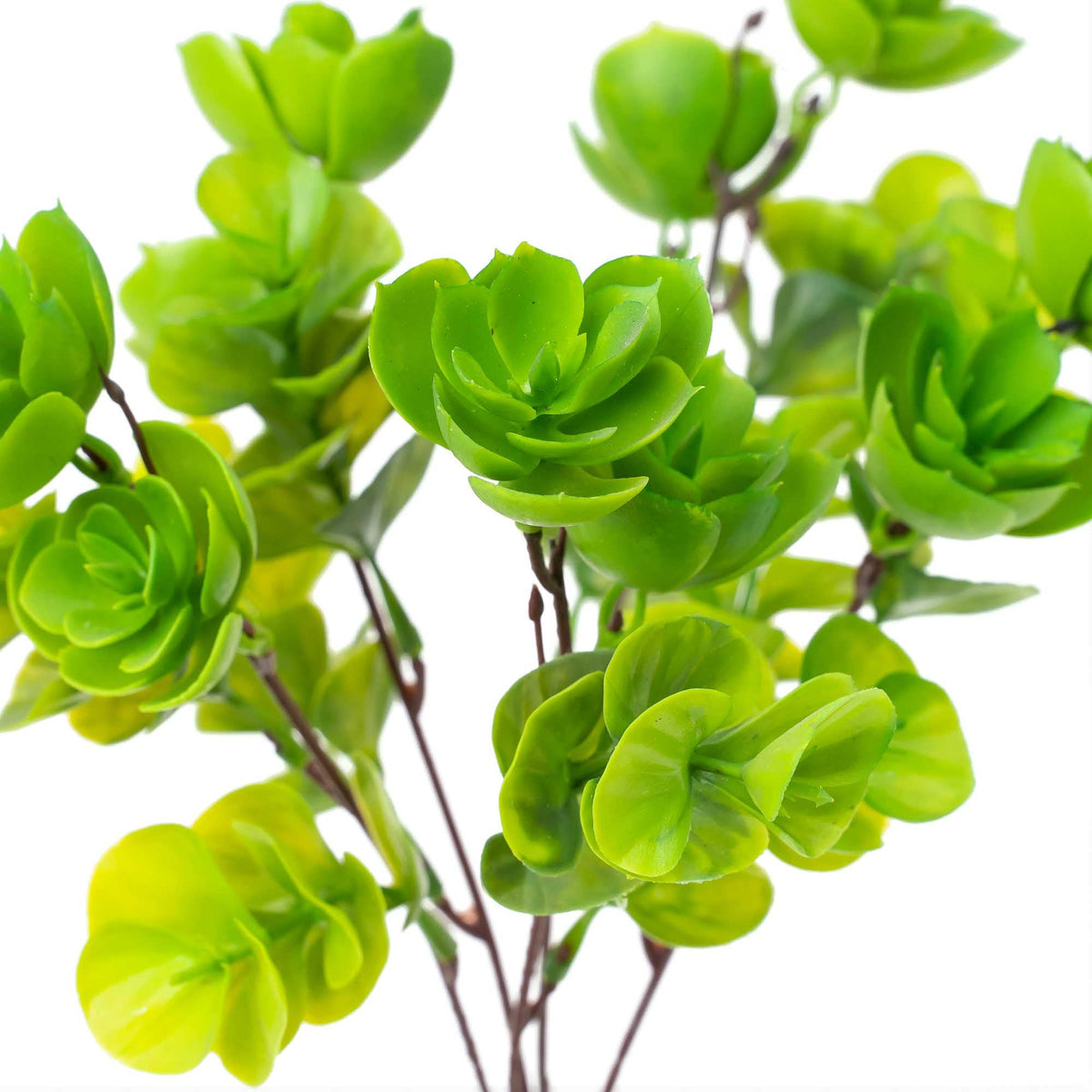 Faux Portulaca Molokiniensis Plant