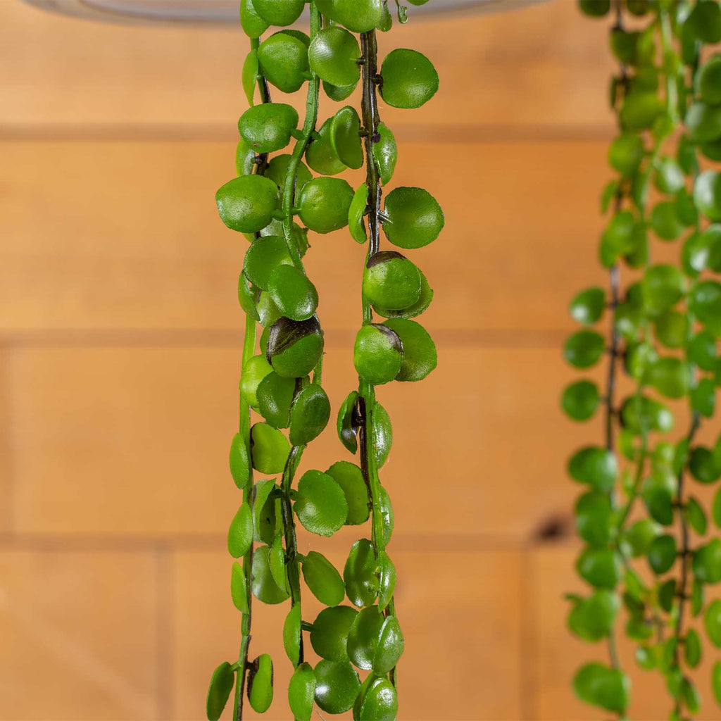 Faux String of Pearls Pick