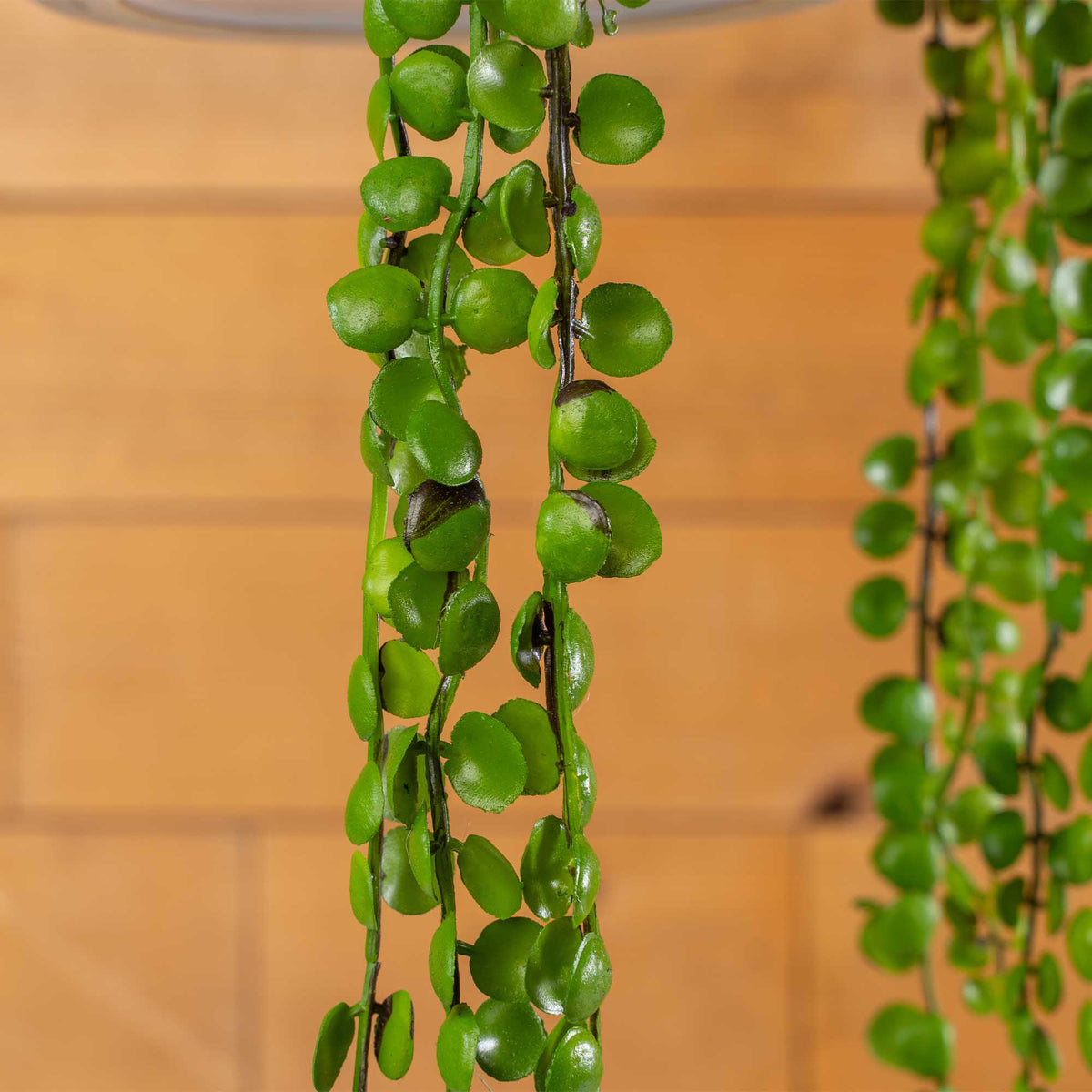 Faux String of Pearls Pick