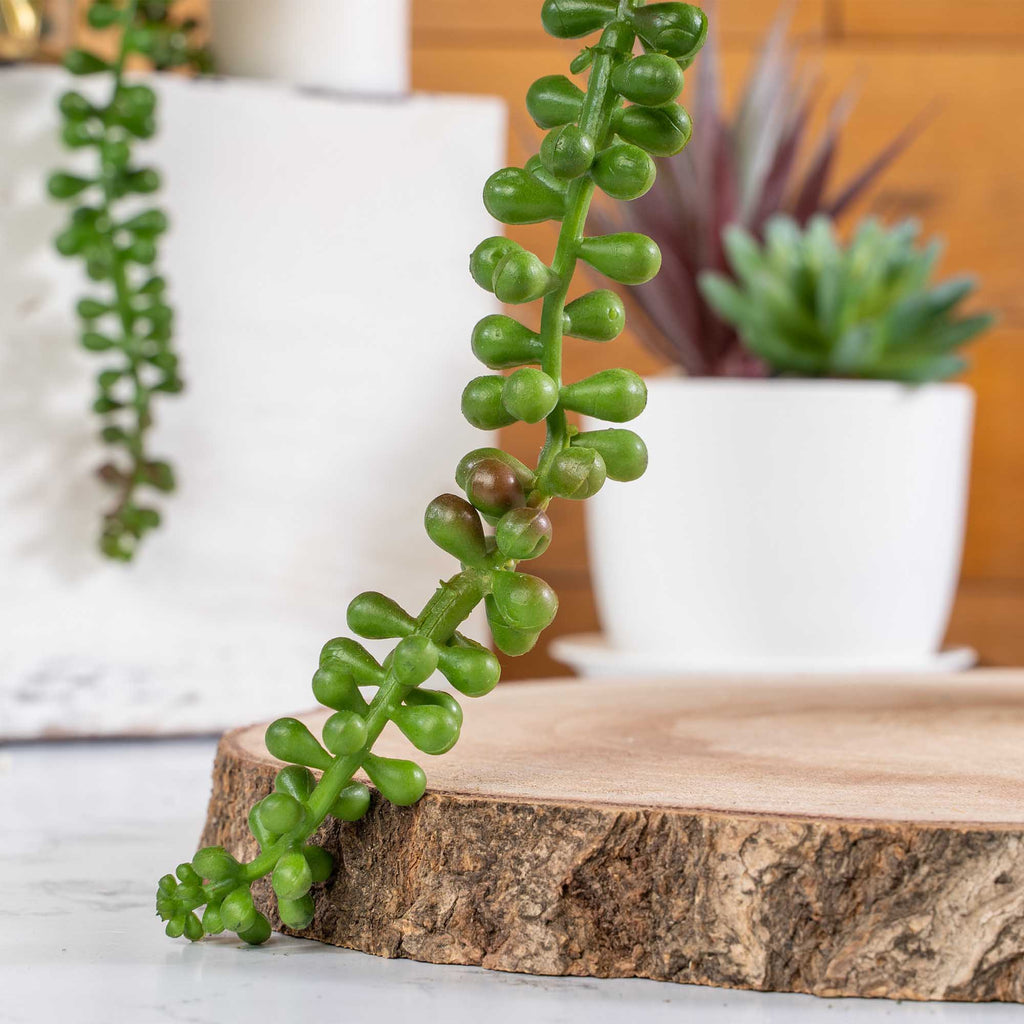 Faux String of Pearls Succulent Pick
